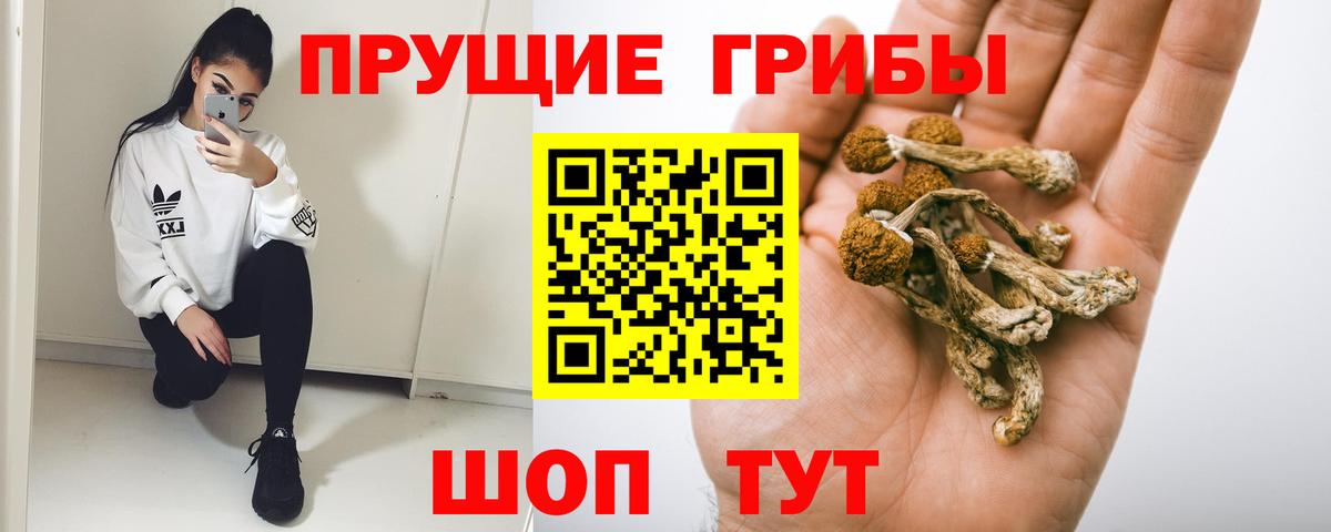 Галлюциногенные грибы Psilocybine cubensis  Вход с VPN  Домодедово 